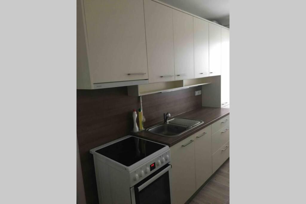 Family Apartment With Garden And Parking Spot Budweis Exterior foto